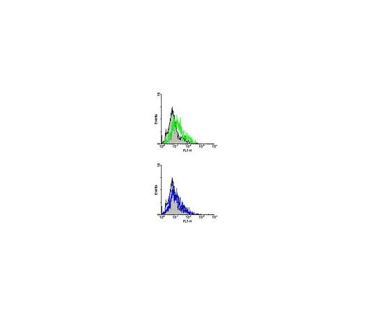 62-8494-05 Anti-Integrin beta7, clone TN114; 100 μg MAB2638
