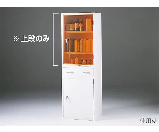 64-3683-90 Chemical Storage Cabinet P600 Type (Upper Shelf only) 02454