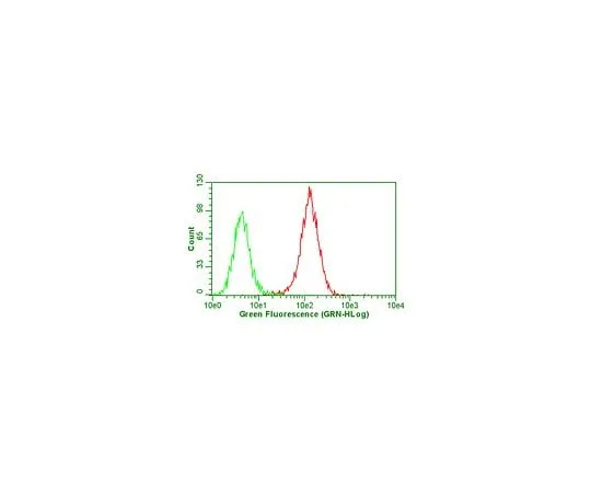 62-8492-54 Anti-Integrin AlphaVBeta5, Clone P1F6, Azide Free; 100 μg MAB1961Z