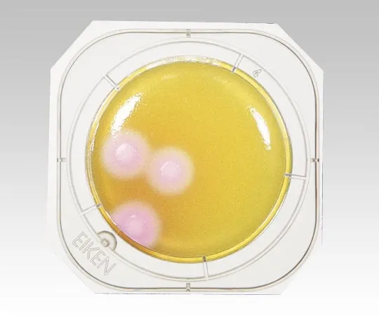 2-6430-06　［Discontinued］Petancheck 10 Cereus Agar Medium　PT2810