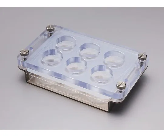 64-3697-02 iP-TEC ® Perfusion Attachment Holder for 6-Well Plate, 6well-H 30526