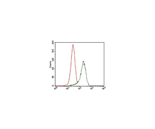 62-8504-75 Anti-SHH, clone 5H4 MABD175