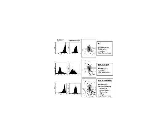 62-8482-26 MDR1 Efflux Assay; 100 assays ECM910