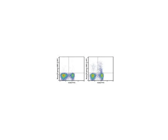 62-8514-37 Anti-mo*** IFN gamma, APC, clone XMG1.2 Antibody MABF1516
