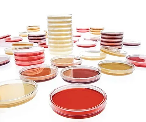 61-0199-31 Sabouraud-Dextrose-Agar -LI Acc.Ep (120) 146028 120Pcs 1.46028.0120