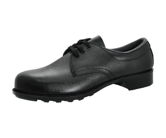 62-0930-25　［Discontinued］Rubber Sole Safety Shoes HS100N 24.0cm　HS100N-24.0
