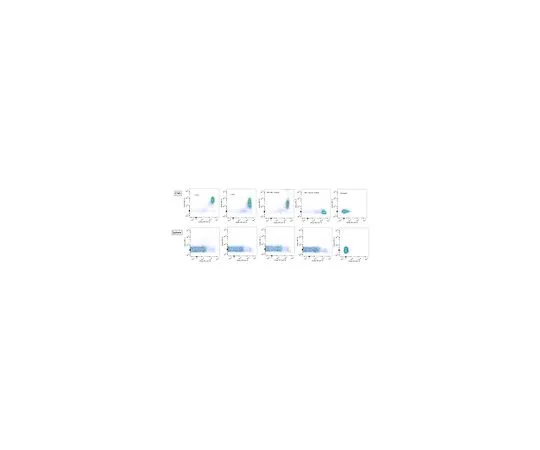 62-8518-79 Anti-CD39 Antibody, clone 5E12 MABN645