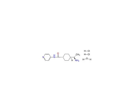 62-8443-82 InSolution Y-27632 in DMSO 688002-1MG