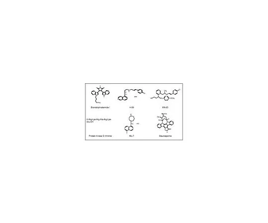 62-8435-77 Serine/Threonine Kinase Inhibitor Set 539572-1SET