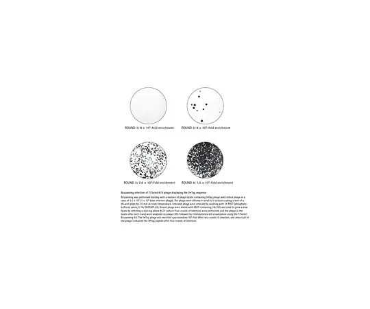 62-8401-35 T7Select(R) Biopanning Kit 70018-3