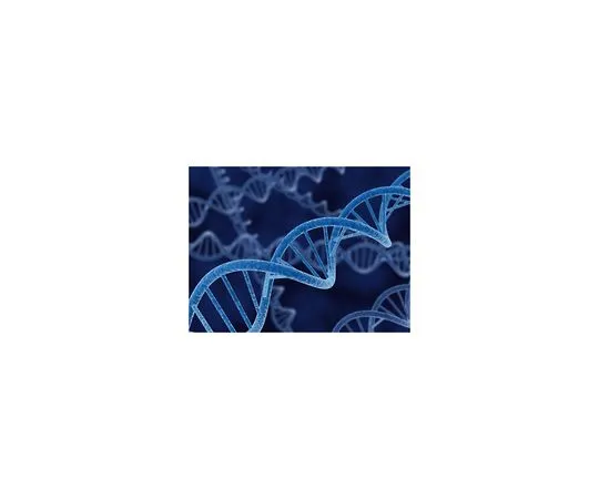 62-8404-82 pET-51b(+) DNA 71553-3