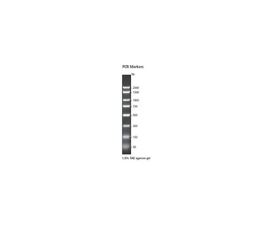 62-8400-41 PCR Markers, 50-2000 bp 69278-3