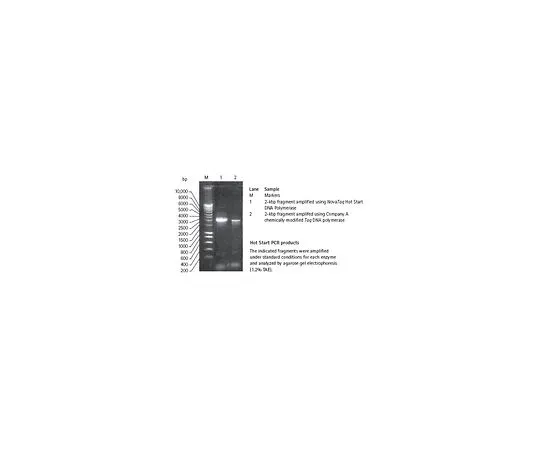 62-8403-27 NovaTaq(TM) Hot Start DNA Polymerase 71091-4