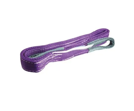 63-5029-31 RS Pro 2m Violet Lifting Sling Webbing, 1t 729-3063