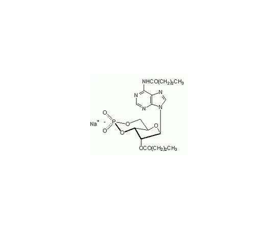 62-8399-48 N(6),O(2')-Dibutyryl-cAMP, Sodium Salt 28745-100MG