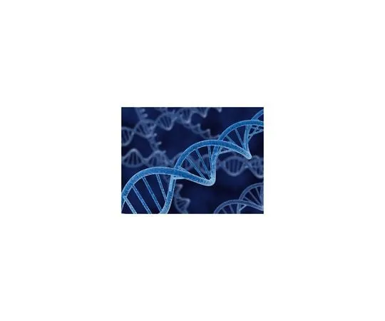 62-8399-85 pET-32b(+) DNA 69016-3