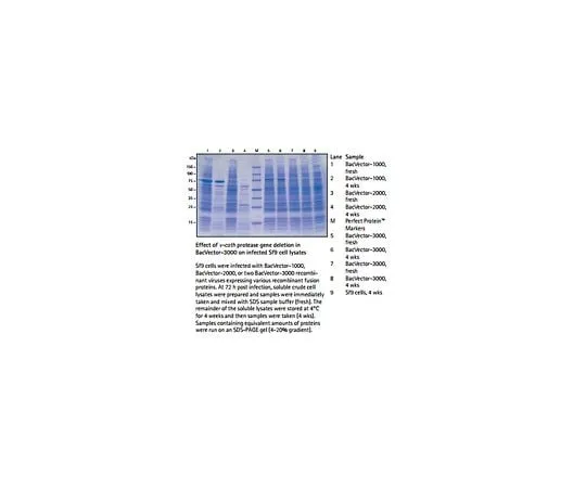 62-8401-37 BacPlaque(TM) Agarose 70034-3