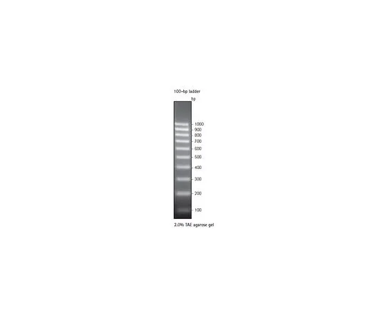 62-8401-83 Perfect DNA(TM) 100 bp Ladder 70539-3