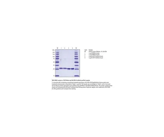 62-8403-61 YeastBuster(TM) Protein Extraction Reagent 71186-4
