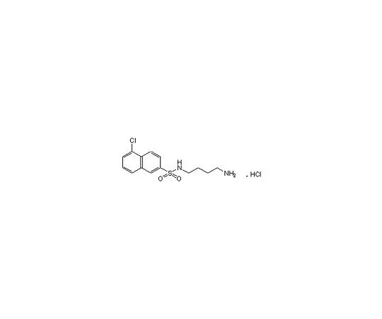 62-8443-49 W-13, Hydrochloride 681636-1MG