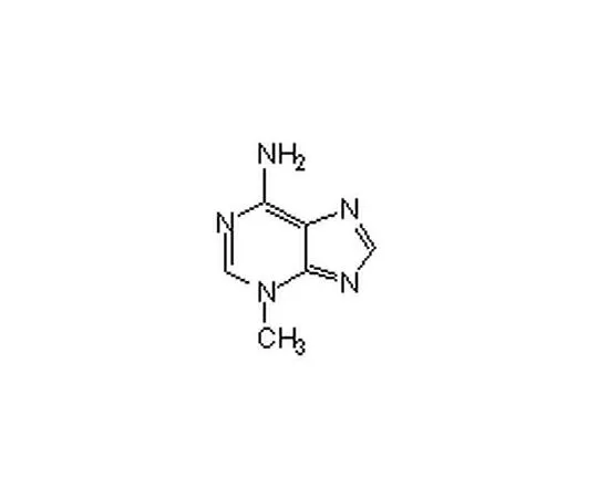 62-8408-83 Autophagy Inhibitor, 3-MA 189490-100MG