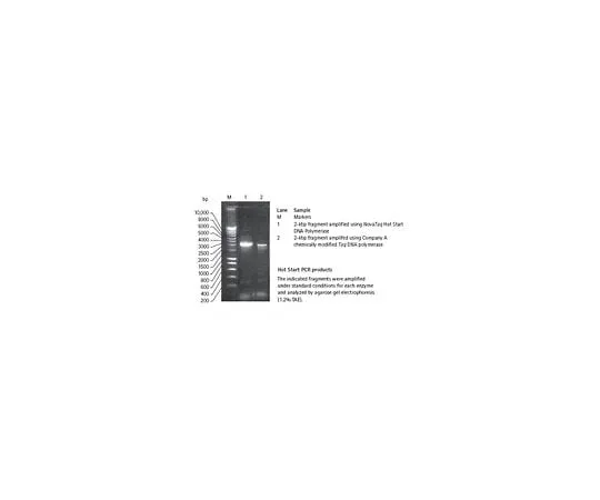 62-8403-26 NovaTaq(TM) Hot Start DNA Polymerase 71091-3