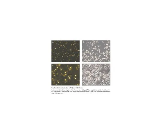 62-8403-95 ProteoJuice(TM) Protein Transfection Reagent 71281-3