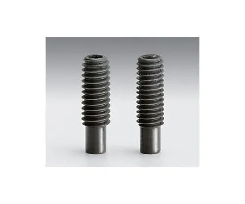 61-6965-26 Dog-Point Screw A14mm B10mm SC-8U-14UU