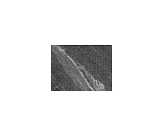 62-8528-38 Anti-PGP9.5 (187-202) Rabbit pAb NE1013-50UL