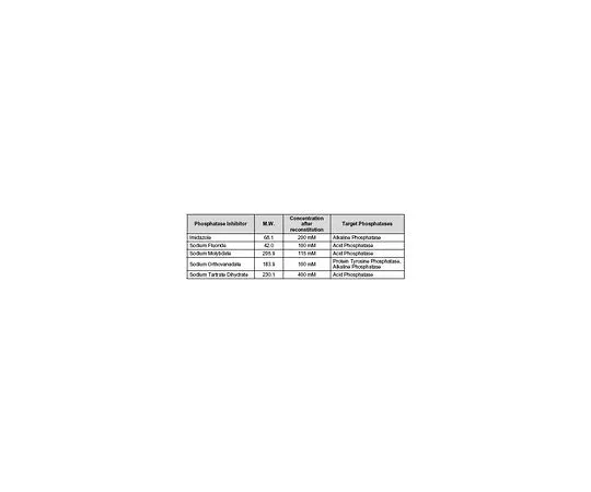 62-8433-29 Phosphatase Inhibitor Cocktail Set II, Lyophilized 524636-1SET