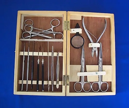61-4481-93 Anatomical Set 15 Points with Wooden Box 550015