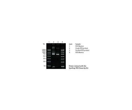 62-8402-92 SpinPrep(TM) PCR Clean-up Kit 70976-3