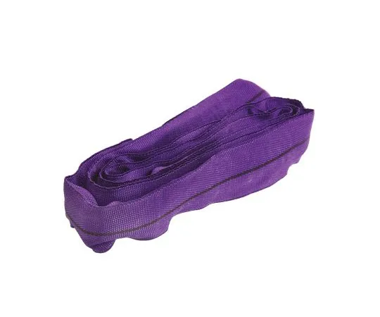 63-5029-30 RS Pro 2m Purple Lifting Sling Round, 1t 729-3048