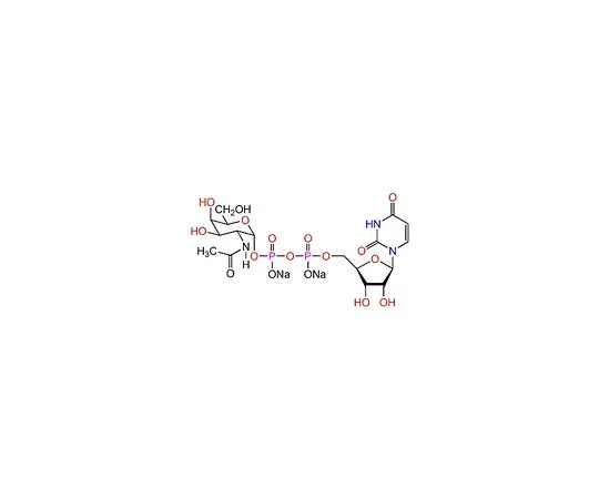 62-8442-90 UDP-α-D-N-Acetylgalactosamine, Disodium Salt 670105-5MG