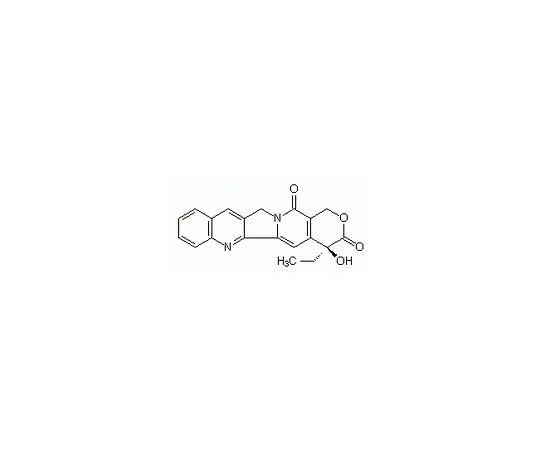 62-8411-39 Camptothecin, Camptotheca acuminata 208925-50MG