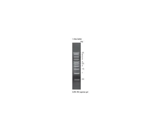 62-8401-81 Perfect DNA(TM) 1 kbp Ladder 70537-3