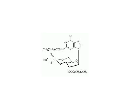 62-8421-24 Guanosine, 3',5'-cyclic Monophosphate, N2,2'-O-Dibutyryl-, 370660-10MG