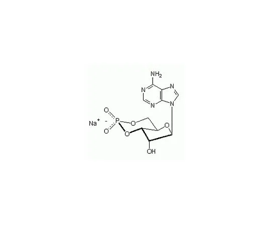62-8406-09 Adenosine-3'5'-cyclic Monophosphate, Sodium Salt 116801-100MG