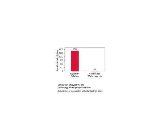 62-8403-34 rLysozyme(TM) Solution 71110-3