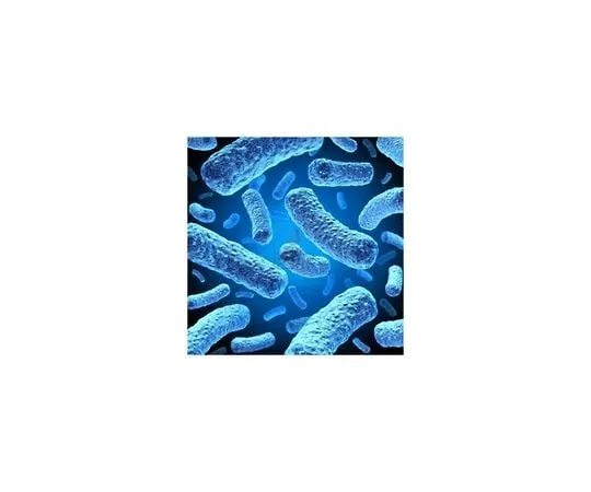 62-8401-07 NovaBlue Competent Cells 69825-4
