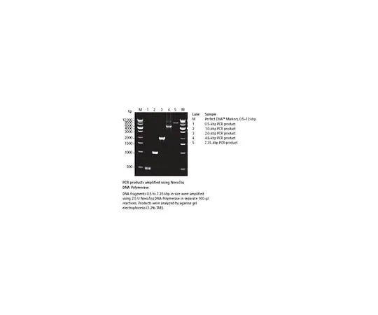 62-8402-95 NovaTaq(TM) DNA Polymerase 71003-3