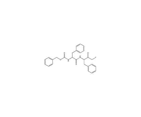 62-8413-06 Cathepsin L Inhibitor I 219421-1MG