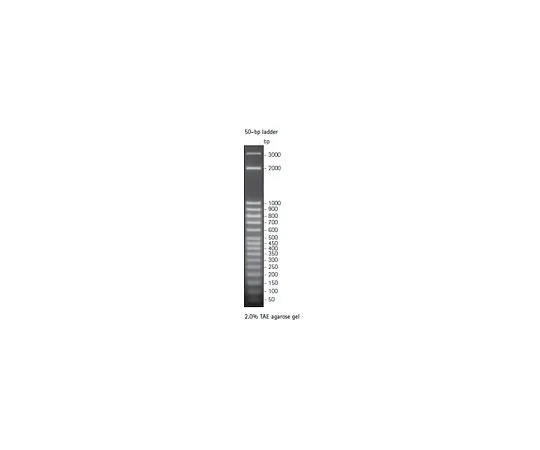 62-8401-82 Perfect DNA(TM) 50 bp Ladder 70538-3