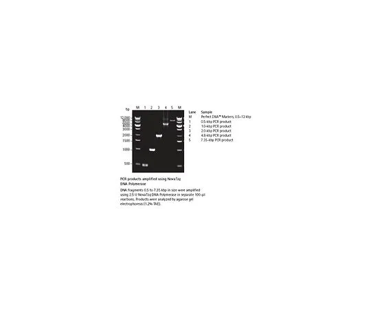 62-8402-97 NovaTaq(TM) DNA Polymerase 71003-5