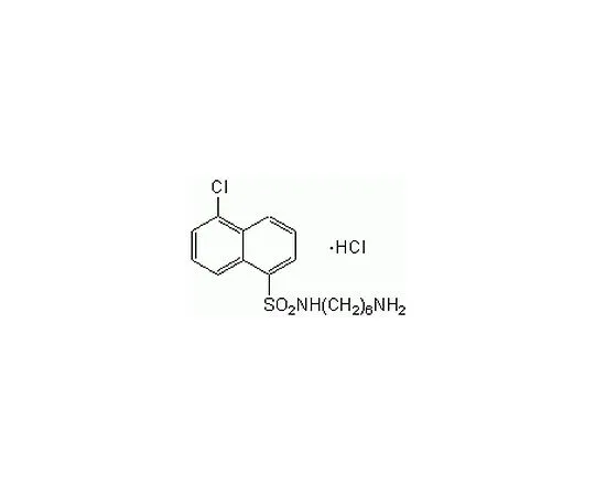62-8443-47 W-7, Hydrochloride 681629-10MG