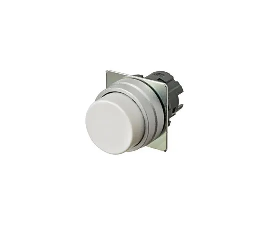 62-4379-71 Switch A22NZ-MPM-NWA