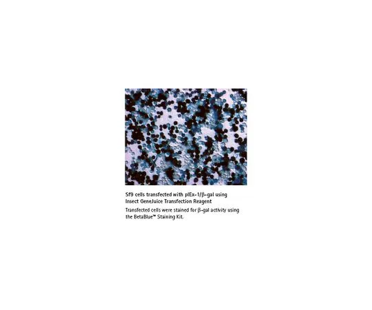 62-8403-91 Insect GeneJuice(R) Transfection Reagent 71259-3