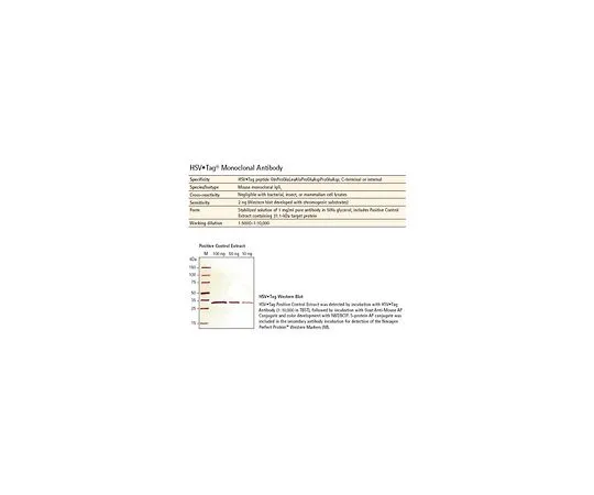 62-8400-24 HSV⋅Tag(R) Monoclonal Antibody 69171-3