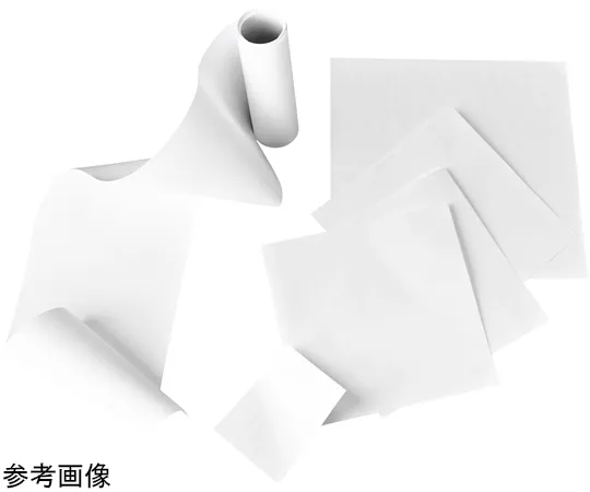 65-4352-59 Transfer Membrane Nitrocellulose 100 x 100 mm Sheet (With Support) 0.22 μm 10pc 1214560