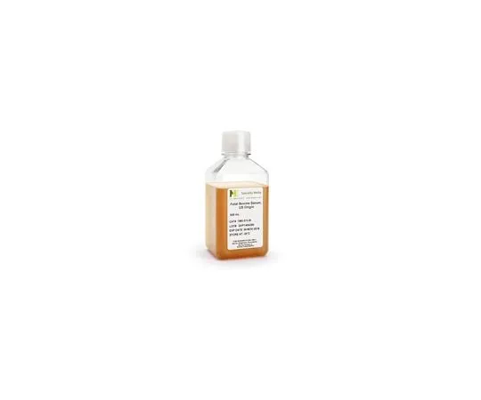 62-8534-36　［Discontinued］Fetal Bovine Serum, US Origin　TMS-013-B